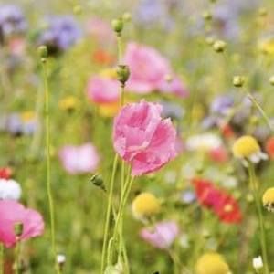 Meet your Posher, Chantal